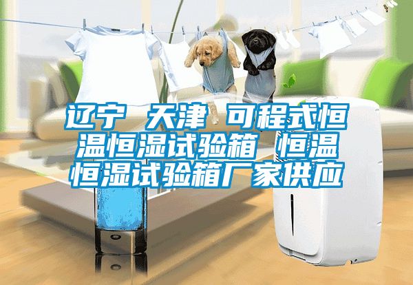 遼寧 天津 可程式恒溫恒濕試驗(yàn)箱 恒溫恒濕試驗(yàn)箱廠家供應(yīng)