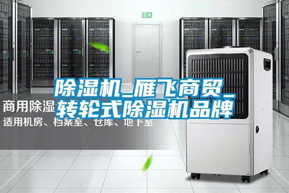 除濕機_雁飛商貿(mào)_轉(zhuǎn)輪式除濕機品牌