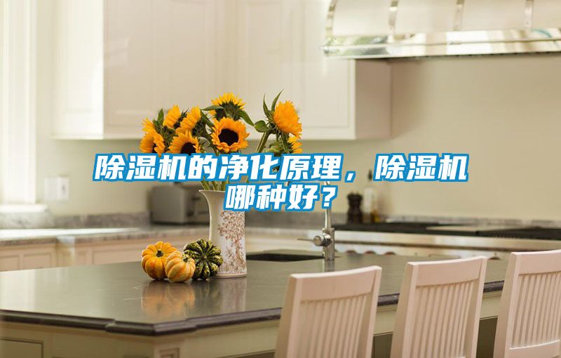 除濕機的凈化原理，除濕機哪種好？