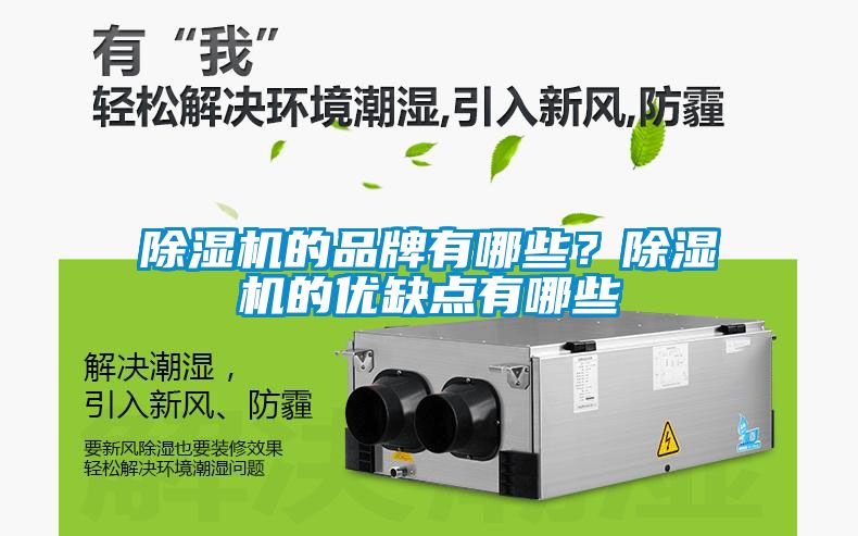 除濕機的品牌有哪些？除濕機的優(yōu)缺點有哪些