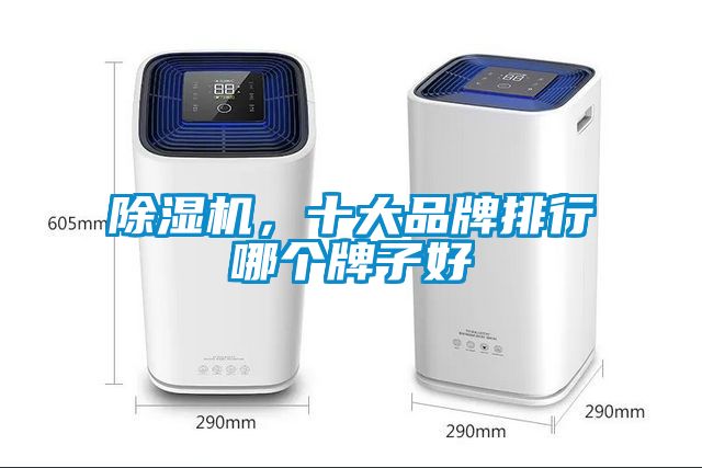 除濕機，十大品牌排行哪個牌子好