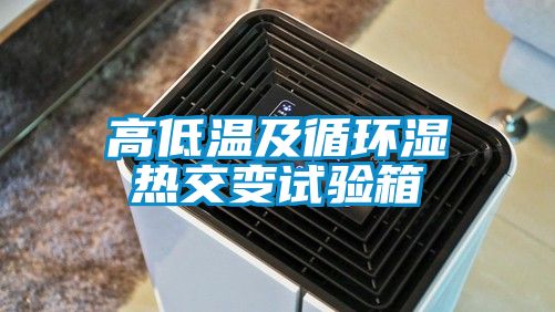 高低溫及循環(huán)濕熱交變?cè)囼?yàn)箱
