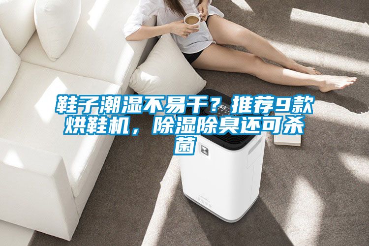 鞋子潮濕不易干？推薦9款烘鞋機，除濕除臭還可殺菌