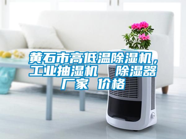 黃石市高低溫除濕機，工業(yè)抽濕機  除濕器廠家 價格