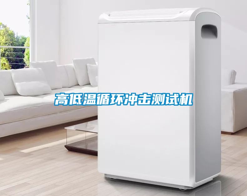 高低溫循環(huán)沖擊測試機(jī)