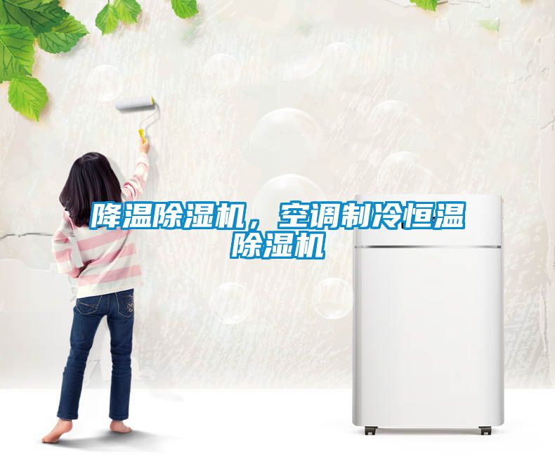 降溫除濕機，空調(diào)制冷恒溫除濕機