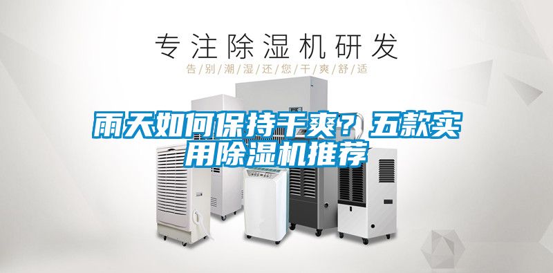 雨天如何保持干爽？五款實用除濕機推薦