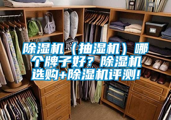 除濕機（抽濕機）哪個牌子好？除濕機選購+除濕機評測!