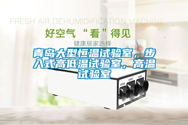 青島大型恒溫試驗(yàn)室，步入式高低溫試驗(yàn)室，高溫試驗(yàn)室
