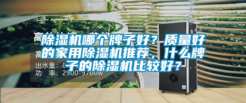除濕機(jī)哪個(gè)牌子好？質(zhì)量好的家用除濕機(jī)推薦，什么牌子的除濕機(jī)比較好？