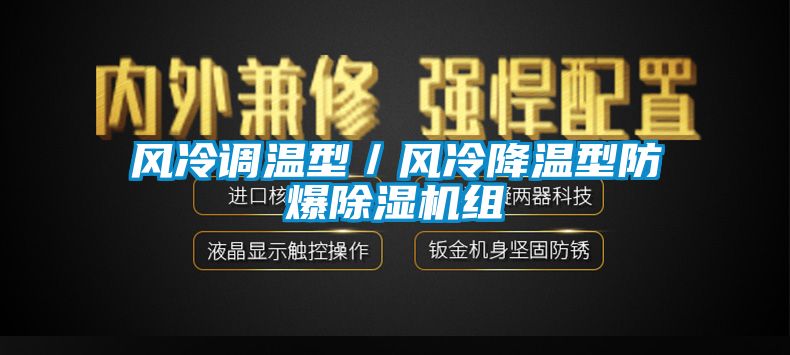 風(fēng)冷調(diào)溫型／風(fēng)冷降溫型防爆除濕機組