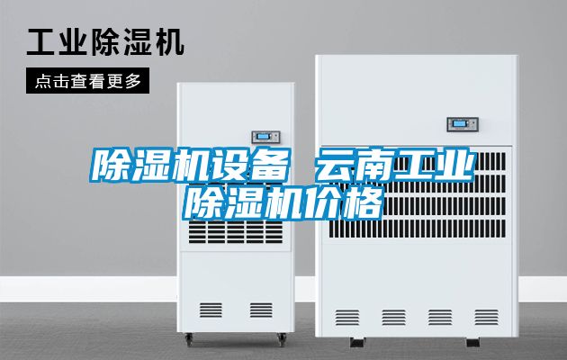 除濕機(jī)設(shè)備 云南工業(yè)除濕機(jī)價格
