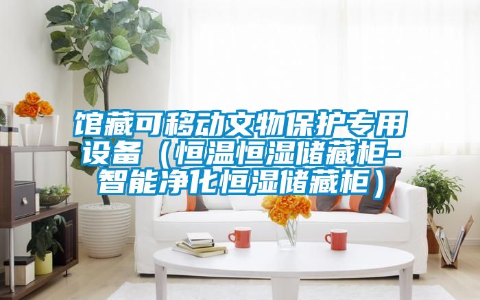 館藏可移動(dòng)文物保護(hù)專用設(shè)備（恒溫恒濕儲(chǔ)藏柜-智能凈化恒濕儲(chǔ)藏柜）