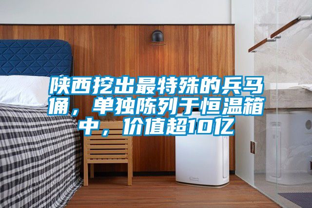 陜西挖出最特殊的兵馬俑，單獨陳列于恒溫箱中，價值超10億