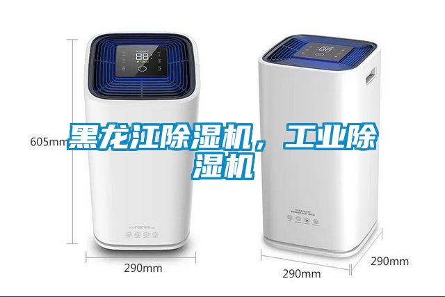 黑龍江除濕機，工業(yè)除濕機