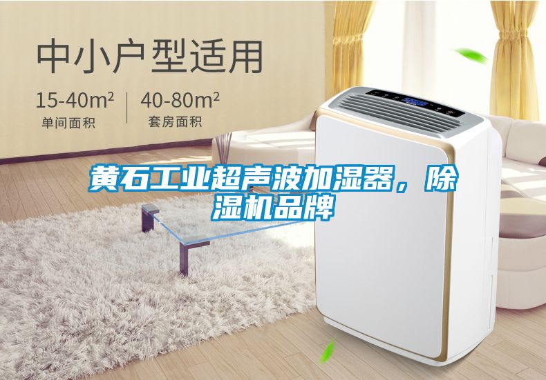 黃石工業超聲波加濕器，除濕機品牌
