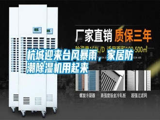 知識百科杭城迎來臺風暴雨，家居防潮除濕機用起來
