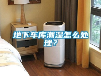 企業(yè)新聞地下車(chē)庫(kù)潮濕怎么處理？