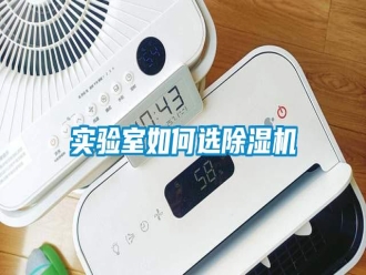 知識百科實驗室如何選除濕機