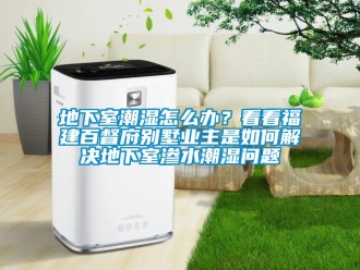 企業新聞地下室潮濕怎么辦？看看福建百督府別墅業主是如何解決地下室滲水潮濕問題