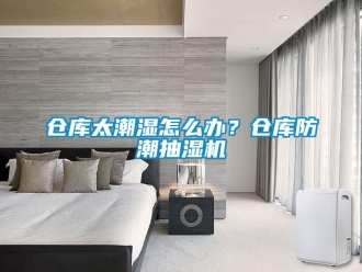 企業新聞倉庫太潮濕怎么辦？倉庫防潮抽濕機