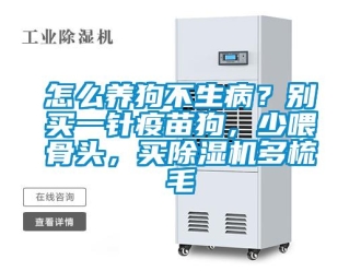 行業(yè)新聞怎么養(yǎng)狗不生病？別買一針疫苗狗，少喂骨頭，買除濕機多梳毛