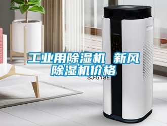 常見問(wèn)題工業(yè)用除濕機(jī) 新風(fēng)除濕機(jī)價(jià)格
