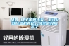 貝菱 牌子雖然小眾，但這4款除濕機真比大牌空調好用多了