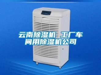 企業(yè)新聞云南除濕機 工廠車間用除濕機公司