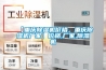 【重慶除濕機價格，重慶除濕機廠家】價格,廠家,除濕機