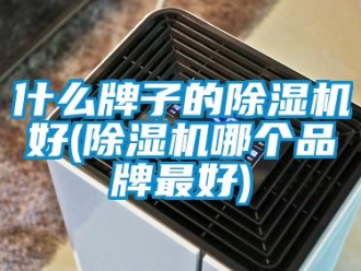 企業(yè)新聞什么牌子的除濕機(jī)好(除濕機(jī)哪個(gè)品牌最好)