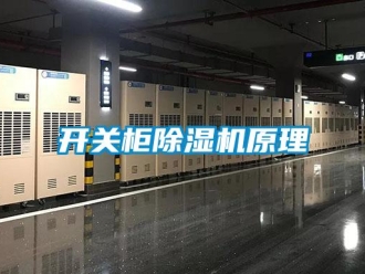 行業新聞開關柜除濕機原理