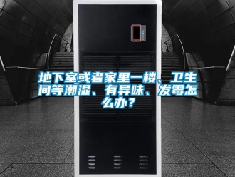 企業新聞地下室或者家里一樓、衛生間等潮濕、有異味、發霉怎么辦？