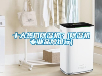企業(yè)新聞十大熱門除濕機？(除濕機專業(yè)品牌排行)