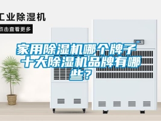 企業新聞家用除濕機哪個牌子 十大除濕機品牌有哪些？