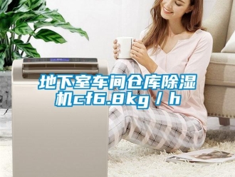 企業(yè)新聞地下室車間倉(cāng)庫(kù)除濕機(jī)cf6.8kg／h