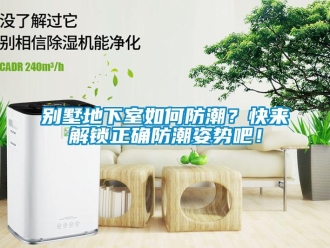 企業(yè)新聞別墅地下室如何防潮？快來解鎖正確防潮姿勢吧！