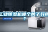 工業除濕機哪個牌子好用？
