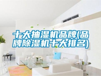 企業(yè)新聞十大抽濕機品牌(品牌除濕機十大排名)