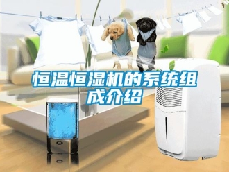 知識(shí)百科恒溫恒濕機(jī)的系統(tǒng)組成介紹