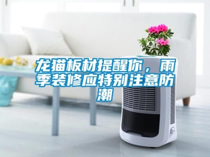龍貓板材提醒你，雨季裝修應特別注意防潮