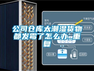 企業(yè)新聞公司倉庫太潮濕貨物都發(fā)霉了怎么辦_重復(fù)
