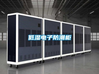 企業新聞低濕電子防潮柜