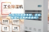 臺風過后降雨不斷，這些除濕方法真的靠譜嗎？