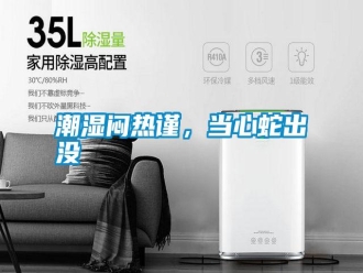 知識百科潮濕悶熱謹，當心蛇出沒
