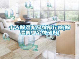 企業(yè)新聞十大除濕機品牌排行榜(除濕機哪個牌子好)