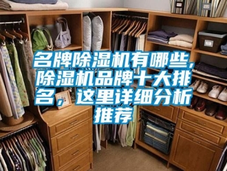 企業(yè)新聞名牌除濕機(jī)有哪些,除濕機(jī)品牌十大排名，這里詳細(xì)分析推薦