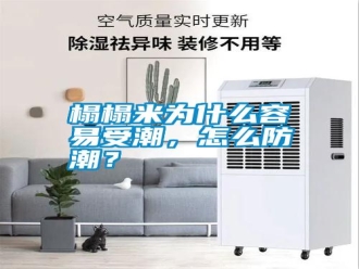 常見問題榻榻米為什么容易受潮，怎么防潮？
