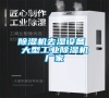 除濕機(jī)去濕設(shè)備 大型工業(yè)除濕機(jī)廠家 除濕機(jī)去濕設(shè)備 大型工業(yè)除濕機(jī)廠家