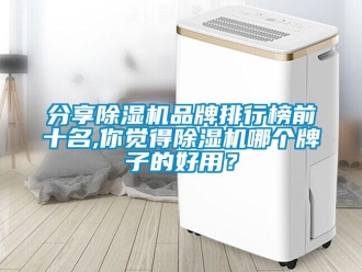 企業新聞分享除濕機品牌排行榜前十名,你覺得除濕機哪個牌子的好用？